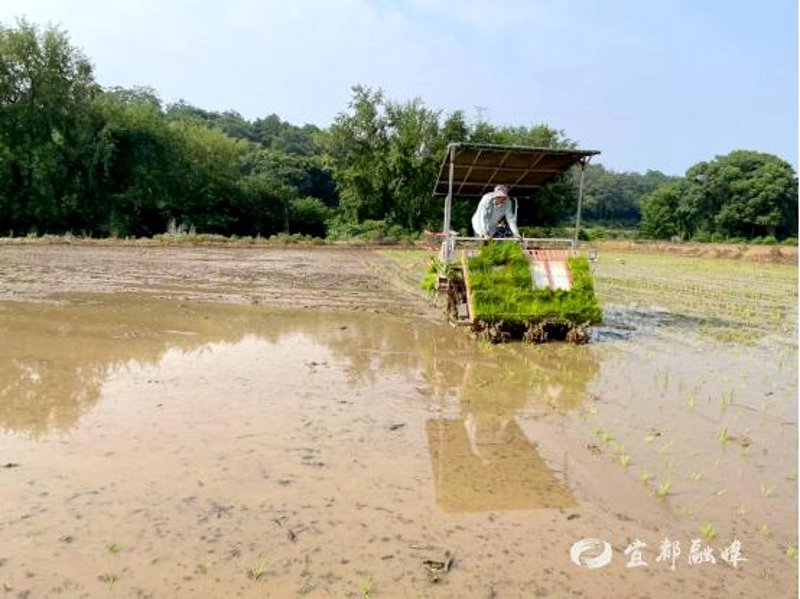 探索宜都齿轮加工的新天地